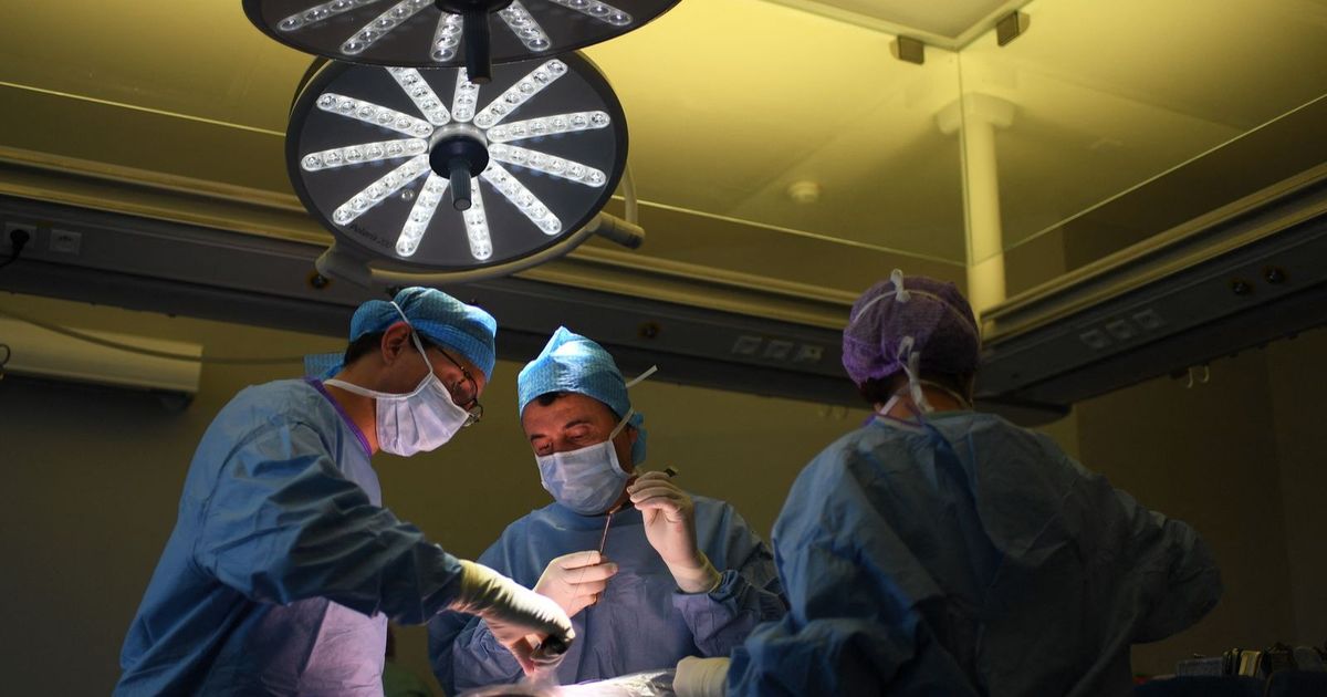 A new mechanism for the treatment of cervical cancer reduces the relationships of death