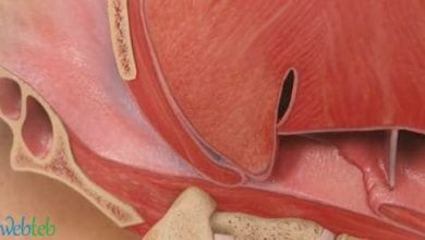 See how sleep apnea happens?