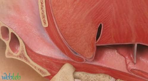 See how sleep apnea happens?