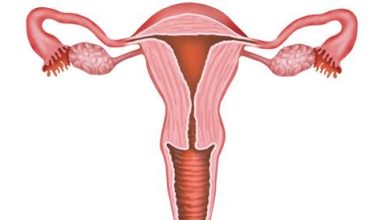 Uterine examination and fallopian tubes to evaluate fertility in women