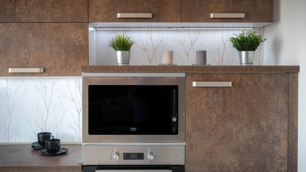 Best Panasonic Convection -Microwave for the home: Versatile cuisine and ease at its best