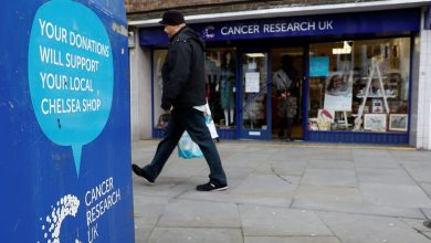 Cancer medicine is sometimes ineffective. A study that reveals the causes