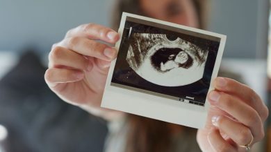 A study that reveals the effect of ‘selfish genes’ on embryo growth