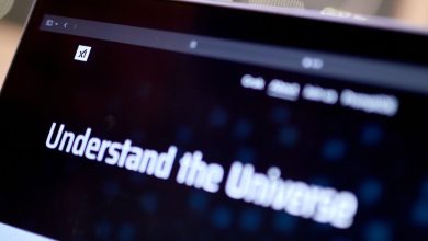 Emerging Artificial Intelligence Businesses Collect Standard Finance in 2024