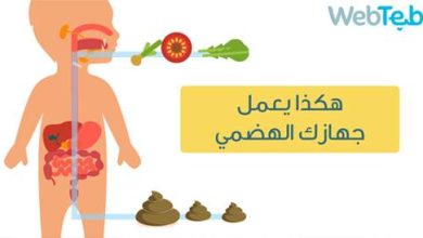 Video: How to make the digestive system
