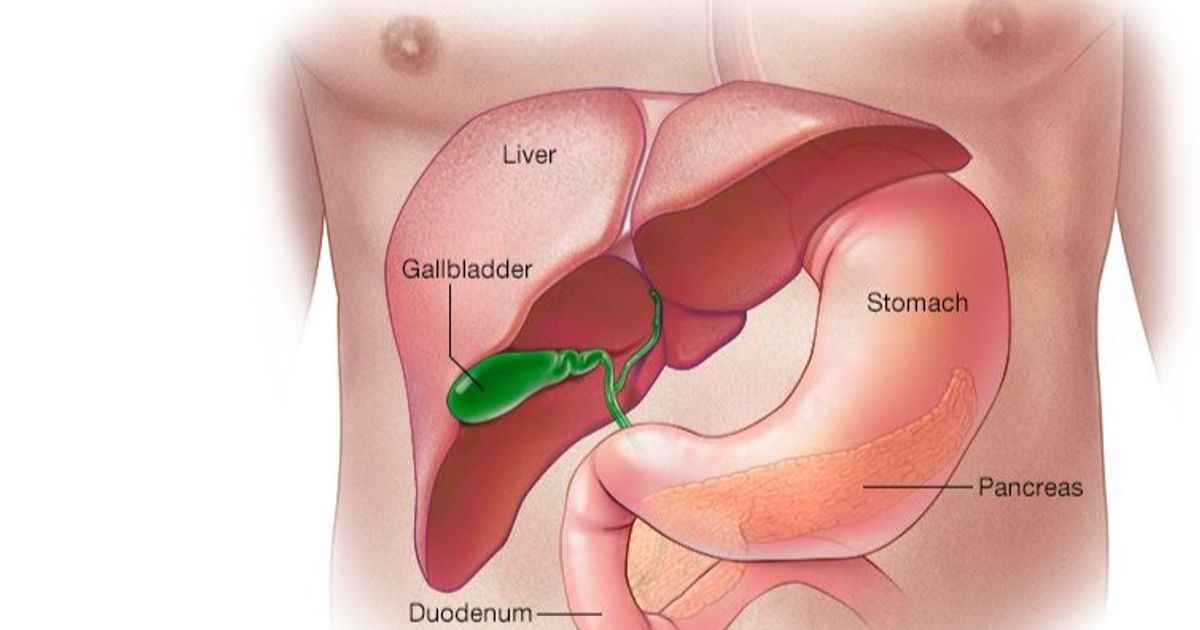 Pancreatic cancer .. Causes, symptoms and patient options in treatment