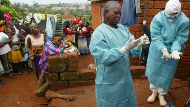 Symptoms and methods to treat the “deadly” Marburg virus “