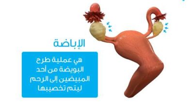 Video: How does the ovulation process occur?