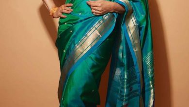 Maha Shivratri 2025: 57 plus women choose Saris like Madhuri, will be seen young