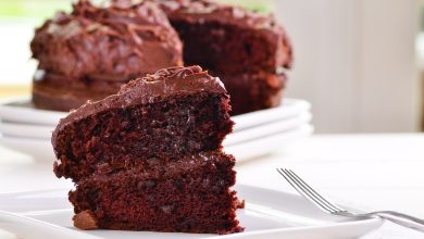 Chocolate Cake – Web Medicine