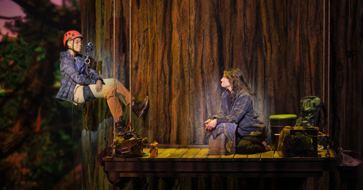 5 reasons to see Redwood on Broadway