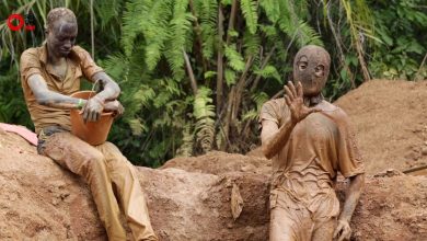 Could they be legalised? – ryan