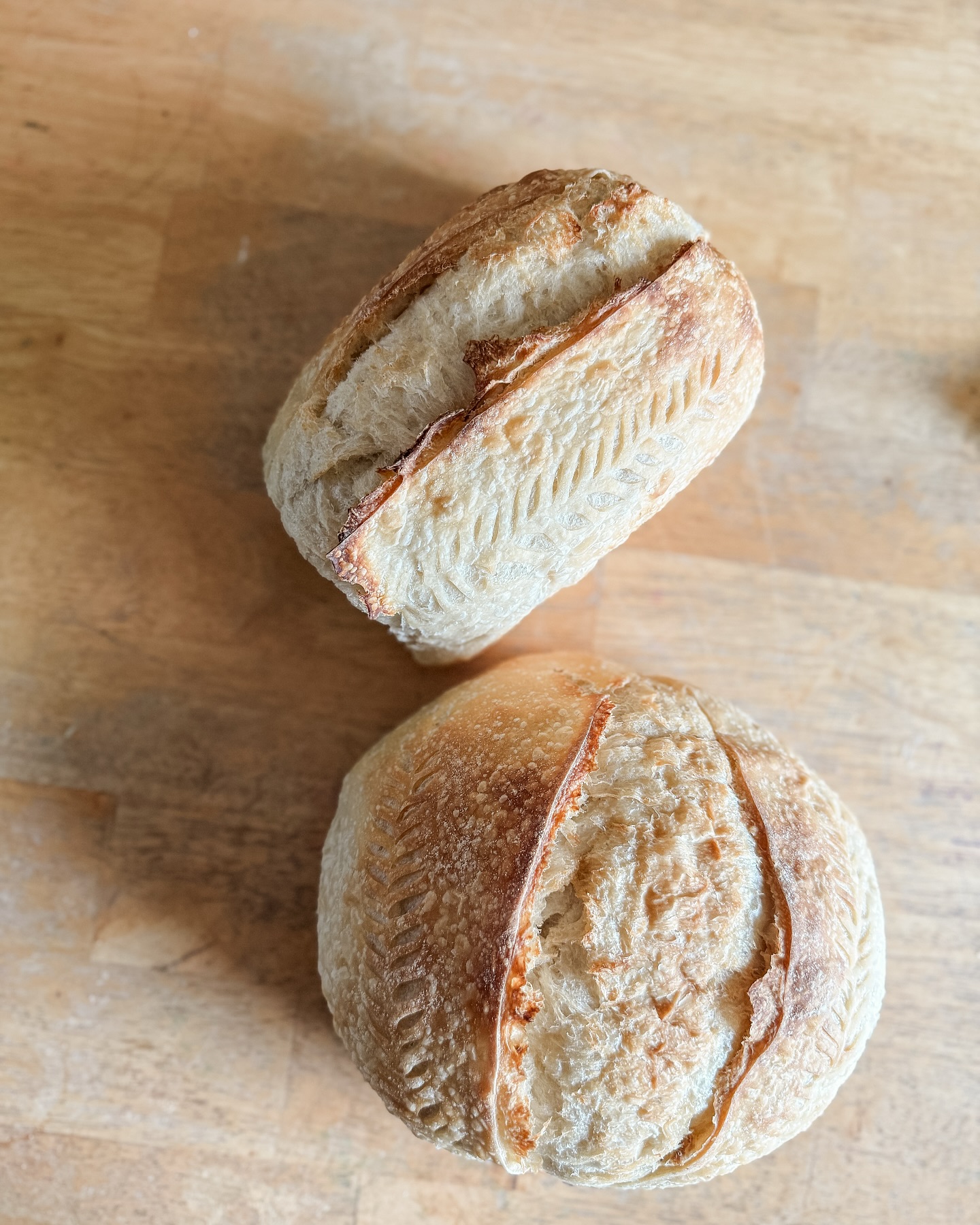 One for sandwiches & one for everything else. Lately I’ve been making my usual … – ryan