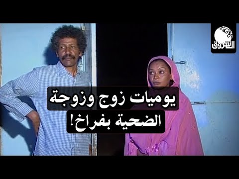 دراما كوميدية | يوميات زوج وزوجة