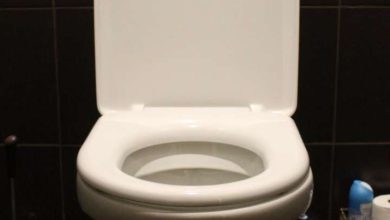 Creating these errors while going to the toilet can cause sick
