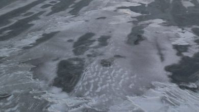 Russian spy sorcors found the core diving boat trails of the UK: Report | Today news