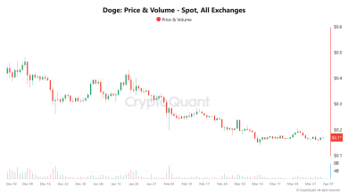 Traders, This Means … – ryan