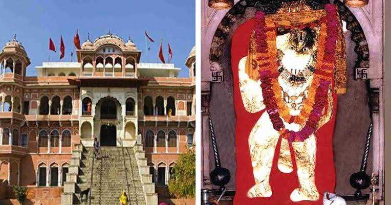 The mysterious room of the Balaji Temple where the priests eat the fear, the awful truth that was hidden in the 2 -minute video