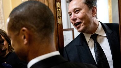 Musk’s political influence increases the European Starlink’s “Starlink” concern