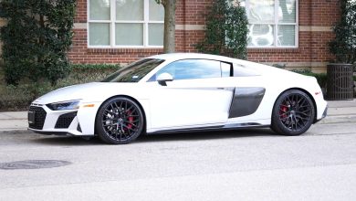 GOLD DIGGER PRANK PRANK PART 50k ON ADULT COLLECTION – ryan