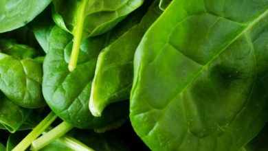 What is the benefit of eating raw spinach?