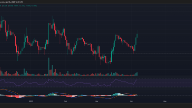Crypto Market’s Weekly Winners and Losers – EOS, Pendle, Bera, Jup – ryan