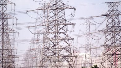 Uttar Pradesh Electricity Dept Worker was discharged for being Palestine flag during Eid | Today news