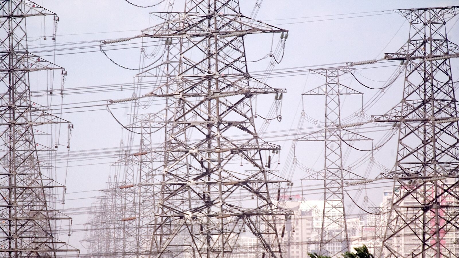 Uttar Pradesh Electricity Dept Worker was discharged for being Palestine flag during Eid | Today news