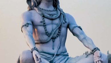 With the grace of Bholenath, from 12 February, these 2 zodiac signs will be fulfilled