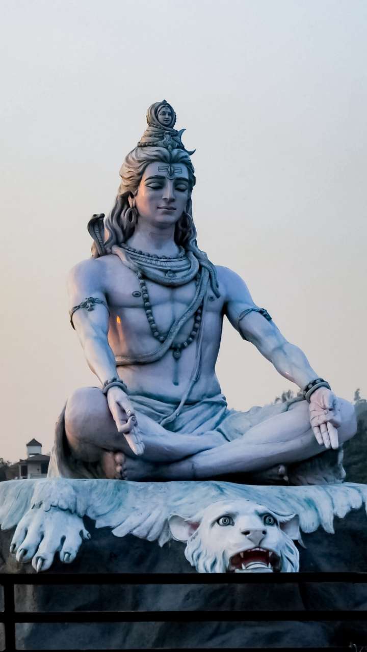 With the grace of Bholenath, from 12 February, these 2 zodiac signs will be fulfilled