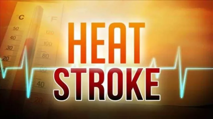 Heat Stroke: Heat -Borchery Starts in very large hospitals in Delhi, know which facilities will be available -Delhi hospitals that reinforce like the heatwave reinforce