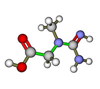 Creatinine investigation: How to conduct the investigation and analysis of the results