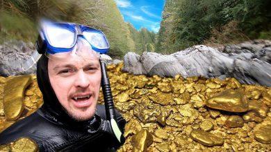 Why Is There So Much Gold In This River? – ryan