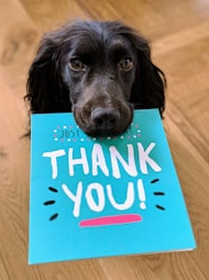 Thanks in ten ways