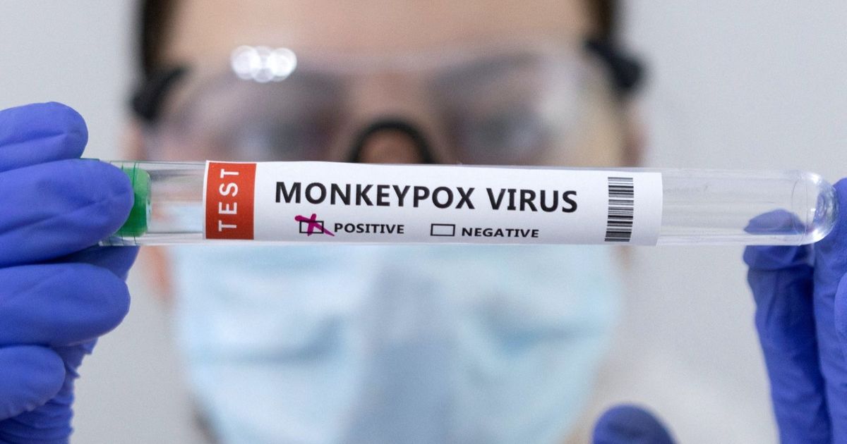 Monkeys in Africa .. the vaccine will probably not be available months ago