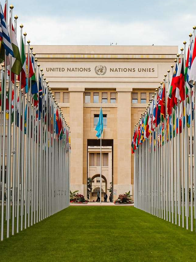 The most powerful advice of the United Nations