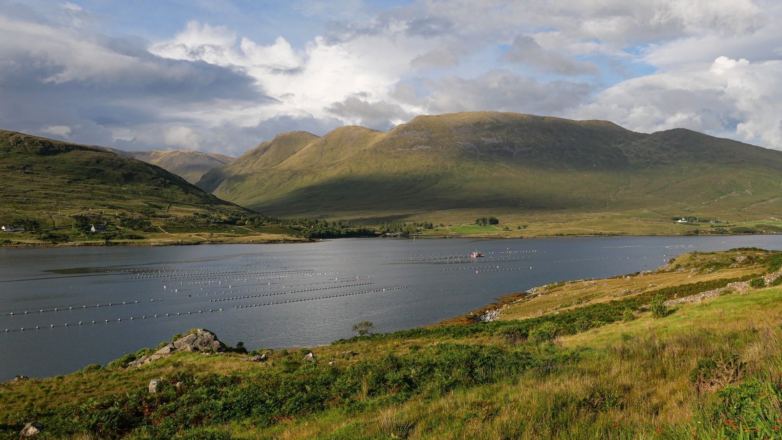 Three Winched to Safety After Boat Gets into difficulty – ryan