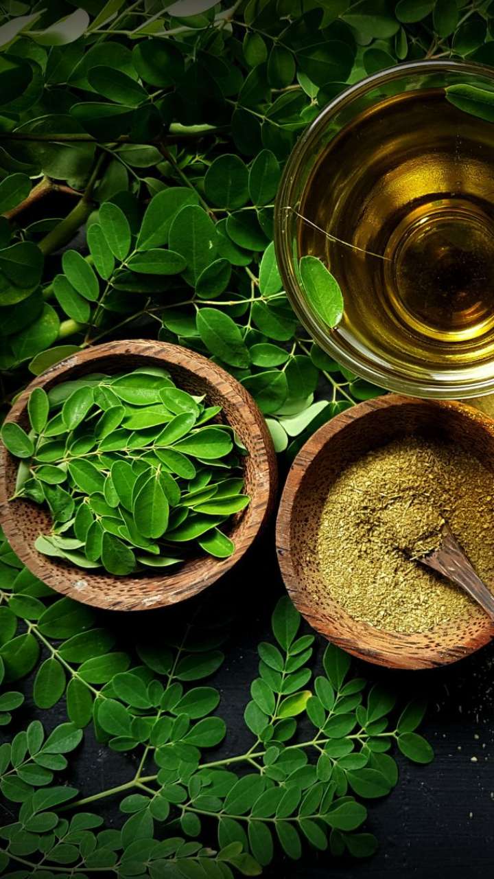 Drink on an empty stomach daily, Moringa water, you will get excellent benefits