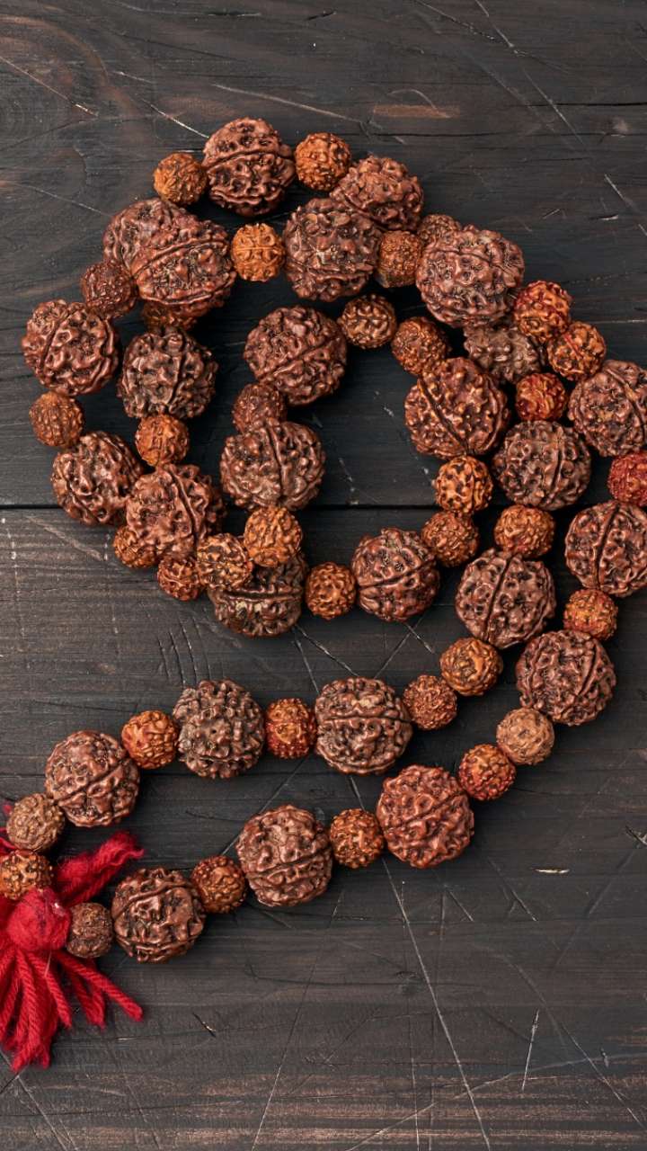 According to the Zodiac, the wear of this Rudraksha will benefit money