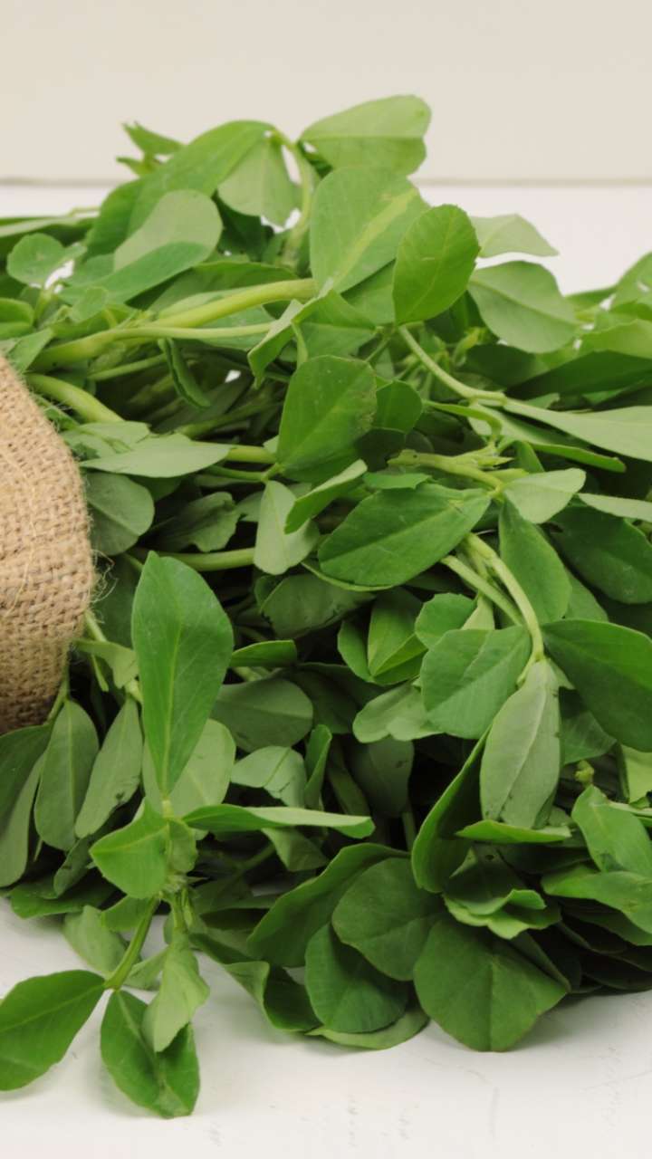 These unparalleled benefits will be found by eating fenugreek leaves will remain healthy