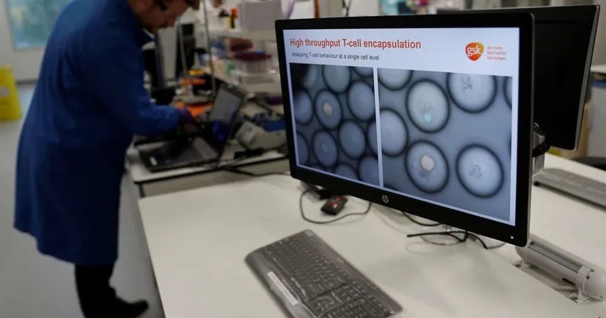 A treatment mechanism promotes the survival of those with a kind of leukemia alive