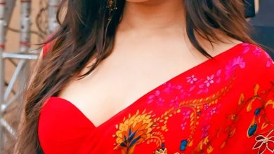 Shraddha Kapoor’s 10 should watch movies