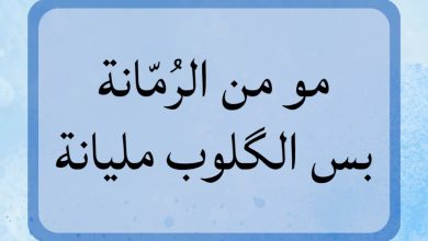 “مو من الرُمّانة بس الگلوب مليانة”
يضرب المثل عندما يكون باطن الأمور وسببها مخال… – ryan