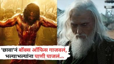 Chhaava Box Office Collection Day 53 Vicky Kaushal Rashmika Mandanna Movie Fifty Third Day Collection Before Jaat Release Know All Details In Marathi