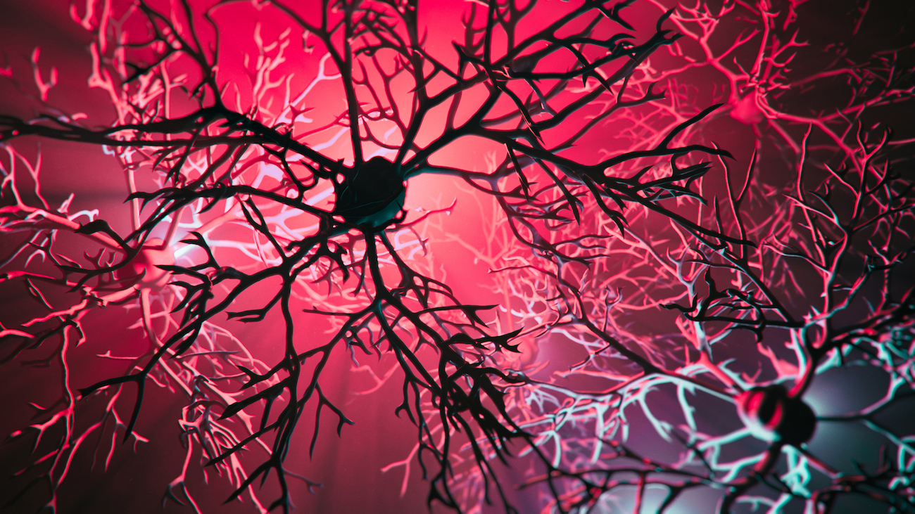 Huntington’s Disease Progression May Be Slowed by Regenerative Strategy – ryan