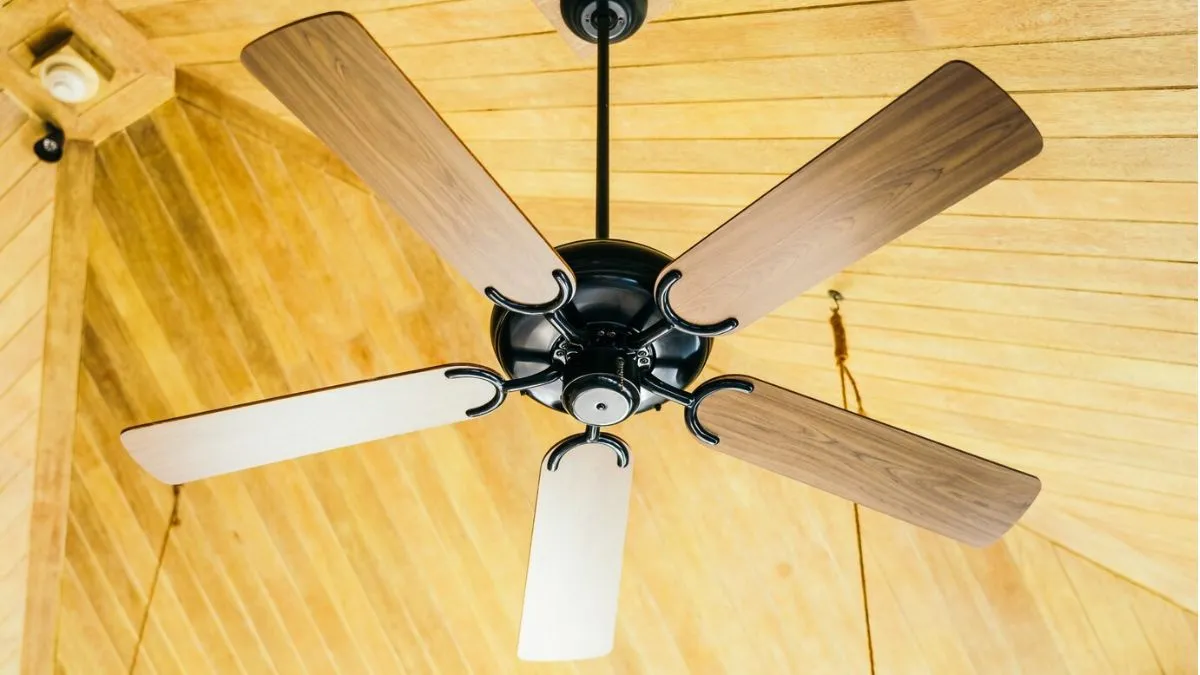 Best ceiling fan with light for living room: Explore stylish and trendy options