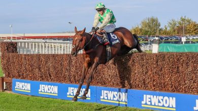 Tributes Paid to Celebre D’Alen Following Death of Grand National Runner – ryan