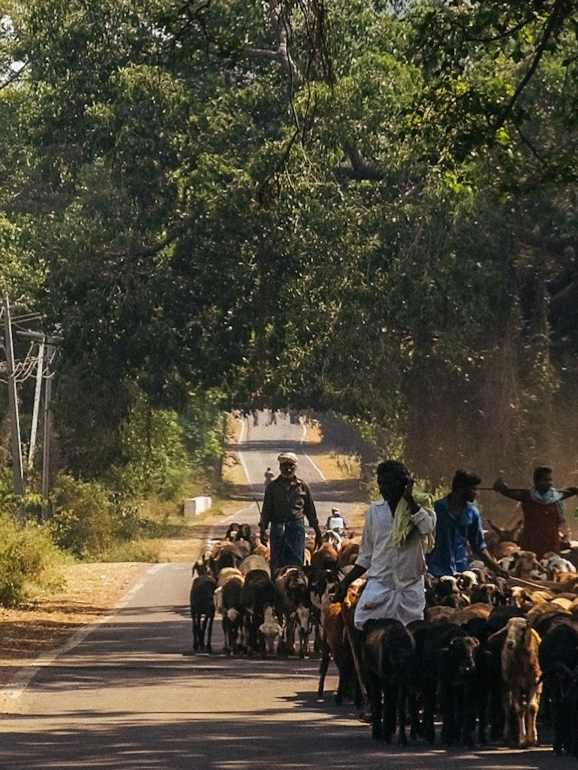 These are ten unique towns of India