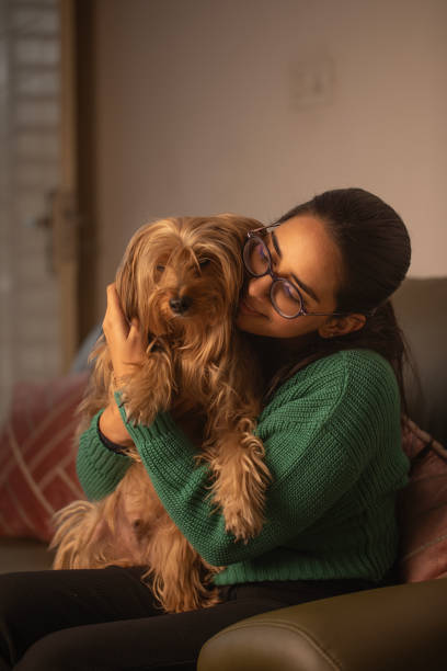 Take care of pets in summer