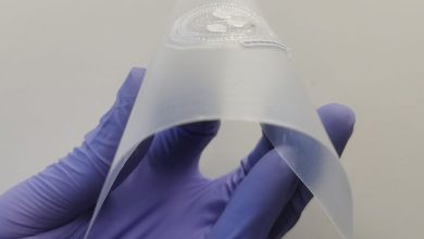 A new sensor that follows the health condition by analyzing sweat